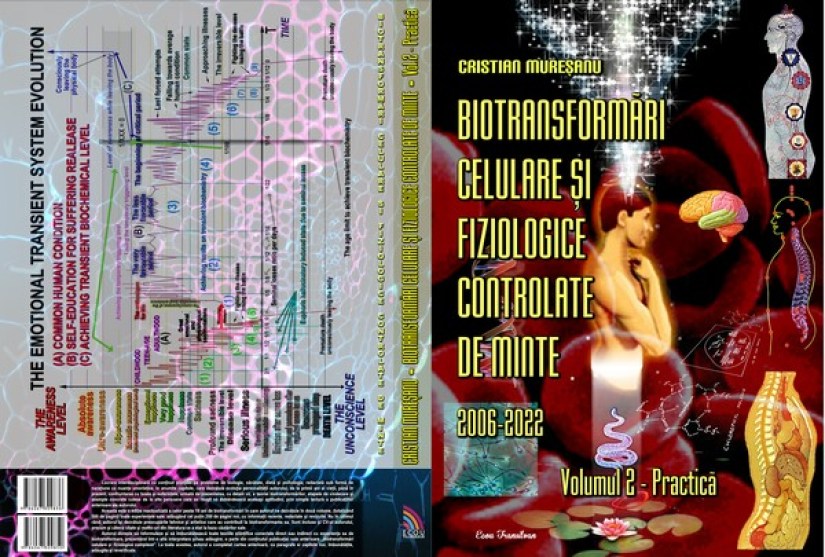 COPERTA SPATE si FATA 2022 VOL 2 ISBN (Copy)